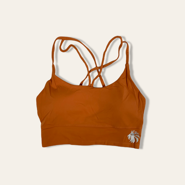 Evolve Long Line Sports Bra - Pumpkin Spice